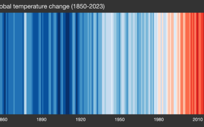 2024: A Record We Should Not Have Broken