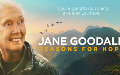 Thank You Jane