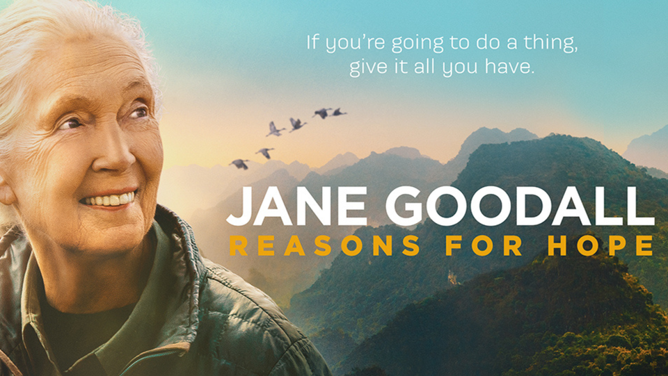 Thank You Jane
